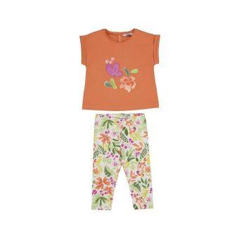 Mayoral Conjunto