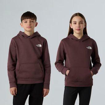 THE NORTH FACE Sweat c/ capuz