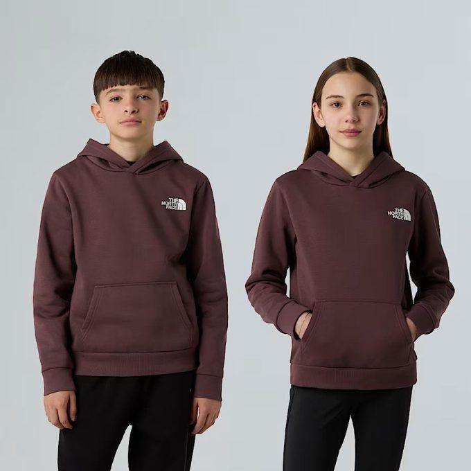 THE NORTH FACE Sweat c/ capuz