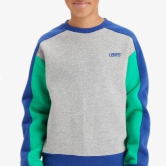 Levi's Sweat