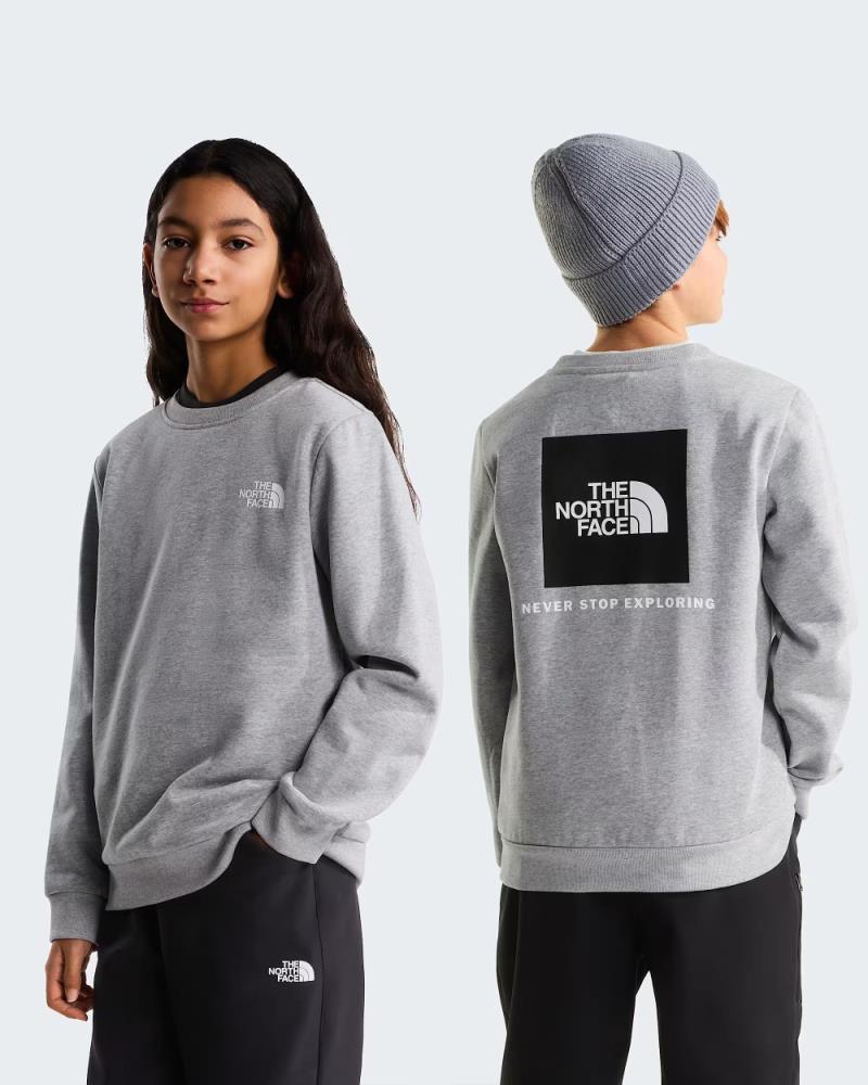THE NORTH FACE Sweat