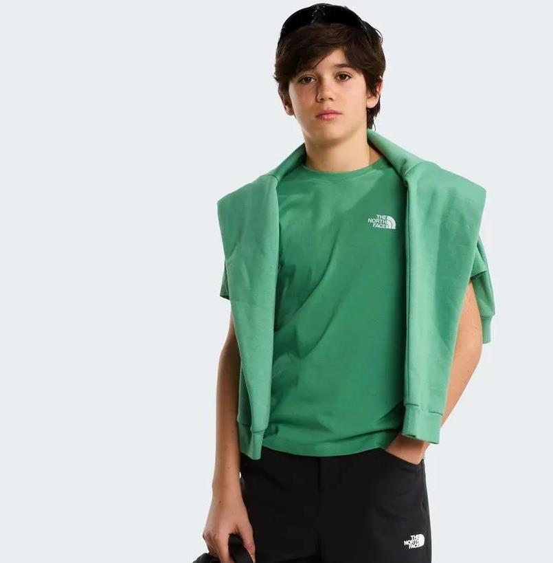 THE NORTH FACE T-shirt